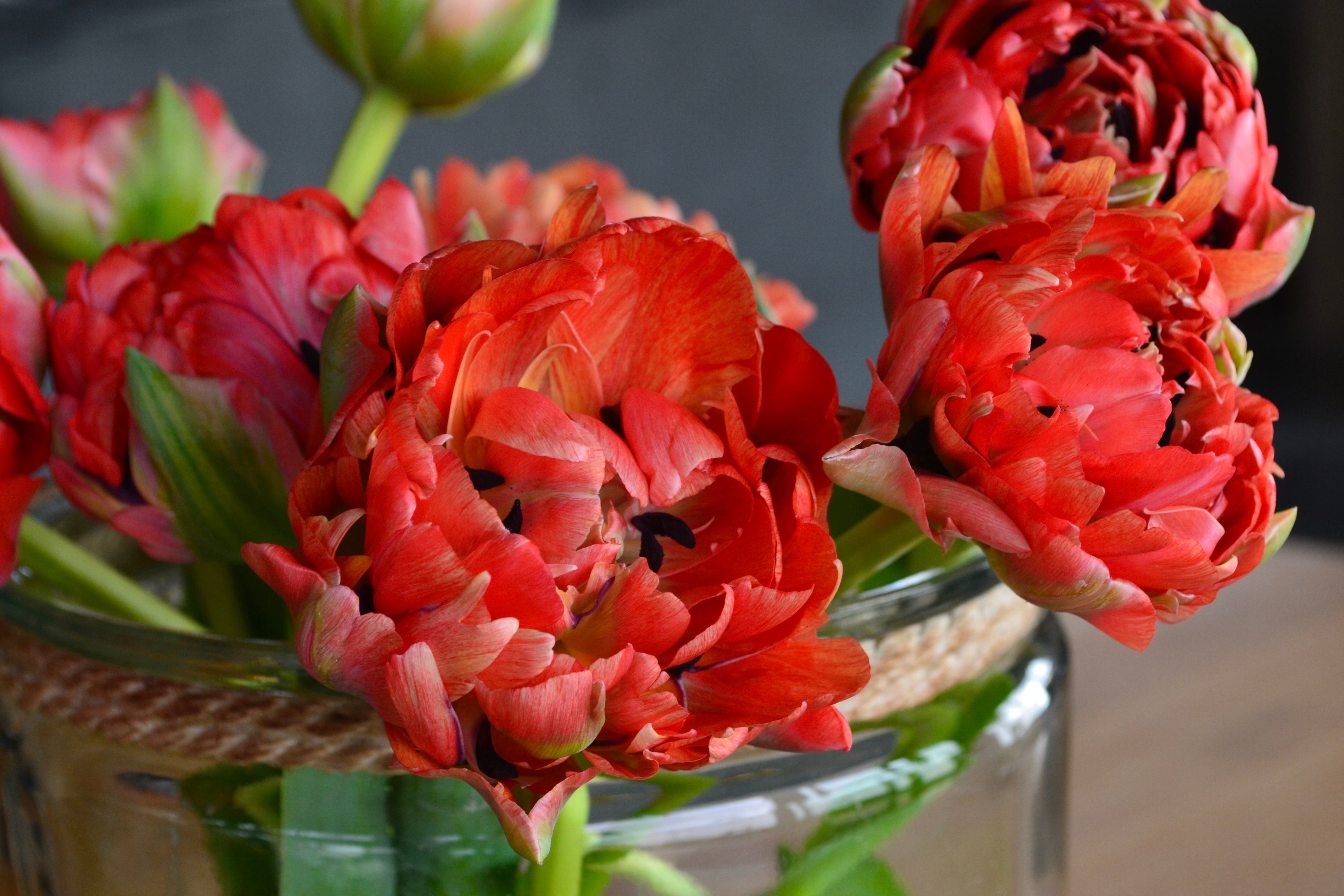 Waarom werken we met seizoensgebonden bloemen