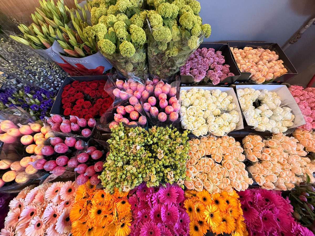 Bloemensoorten